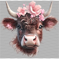 Country music-CU 440